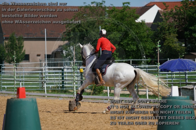 s_K3F06883.JPG
